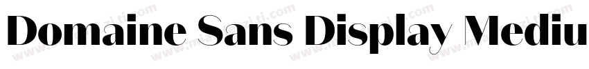 Domaine Sans Display Medium字体转换